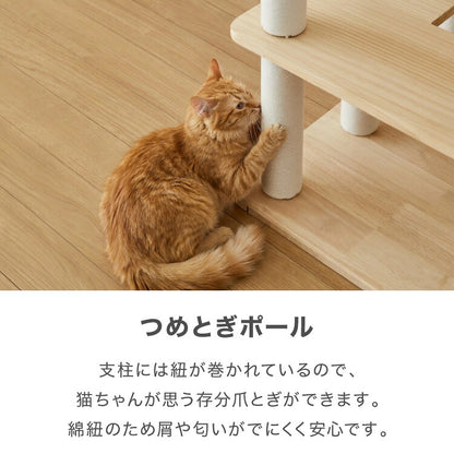 キャットタワー 木製 据え置き 大型猫 68×60 高さ192cm スリム コンパクト 省スペース 宇宙船 クリアボウル 爪とぎポール 綿紐 おしゃれ 猫タワー キャットハウス 運動不足解消 猫 ねこ 子猫