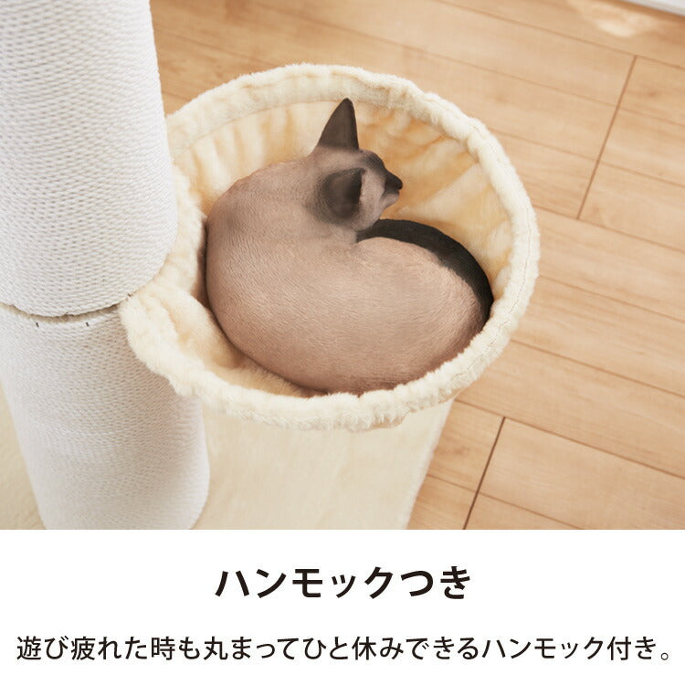 爪とぎ ポール 猫 据え置き 極太 ハンモック付き 高さ142cm ハイタイプ