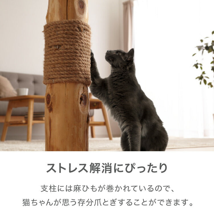 爪とぎ ポール 猫 天然木 高さ59cm 麻紐 据え置き 自然素材 おもちゃ付き 麻 置き型 極太 ナチュラル 北欧 猫用つめとぎ つめとぎ 爪研ぎ 爪とぎポール スクラッチポール 猫用 猫用品 おもちゃ 立って ペット用品 倒れにくい