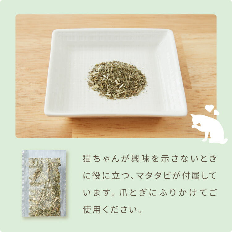 爪とぎ ハウス 猫 爪とぎ段ボール またたび付 強化ダンボール 高耐久 組立簡単 猫爪とぎ 爪研ぎ 爪とぎベッド ベッド ペットベッド キャットハウス 猫ハウス 段ボール 猫用品 ペット用品