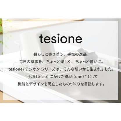 tesione テシオン 水切りラック 2way 立てかけ 折りたたみ ステンレス 水切りかご 幅21.9×奥行44~55cm 伸縮式 コンパクト 折り畳み TS-003