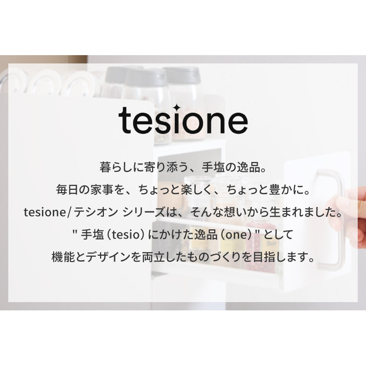 tesione テシオン 隱せる 調味料ラック 2段 スリム おしゃれ マグネット スパイスラック コンパクト コンロ横 すき間収納 白 TS-005