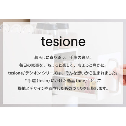 tesione テシオン 隱せる 調味料ラック 2段 スリム おしゃれ マグネット スパイスラック コンパクト コンロ横 すき間収納 白 TS-005