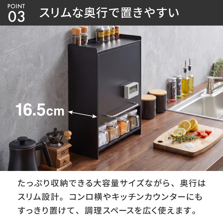 tesione テシオン フラップ扉で隠せる調味料ラック 前開き 扉収納 奥行スリム おしゃれ 隠す マグネット 対応 スパイスラック 隠せる 調味料ラック TS-013