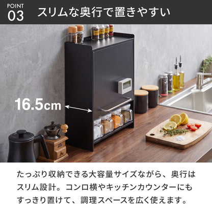 tesione テシオン フラップ扉で隠せる調味料ラック 前開き 扉収納 奥行スリム おしゃれ 隠す マグネット 対応 スパイスラック 隠せる 調味料ラック TS-013