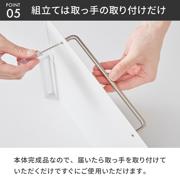 tesione テシオン フラップ扉で隠せる調味料ラック 前開き 扉収納 奥行スリム おしゃれ 隠す マグネット 対応 スパイスラック 隠せる 調味料ラック TS-013