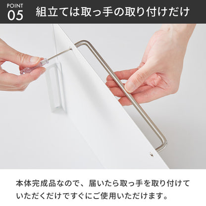 tesione テシオン フラップ扉で隠せる調味料ラック 前開き 扉収納 奥行スリム おしゃれ 隠す マグネット 対応 スパイスラック 隠せる 調味料ラック TS-013