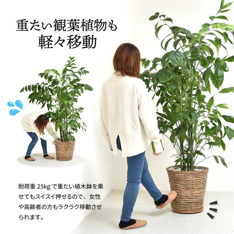 ラウンド プランターベース 木目調×隠しキャスターで美しく移動できる鉢植え台プランターベース キャスター付き 植木鉢台 鉢スタンド 植物移動台 木目調 グレー インテリア雑貨