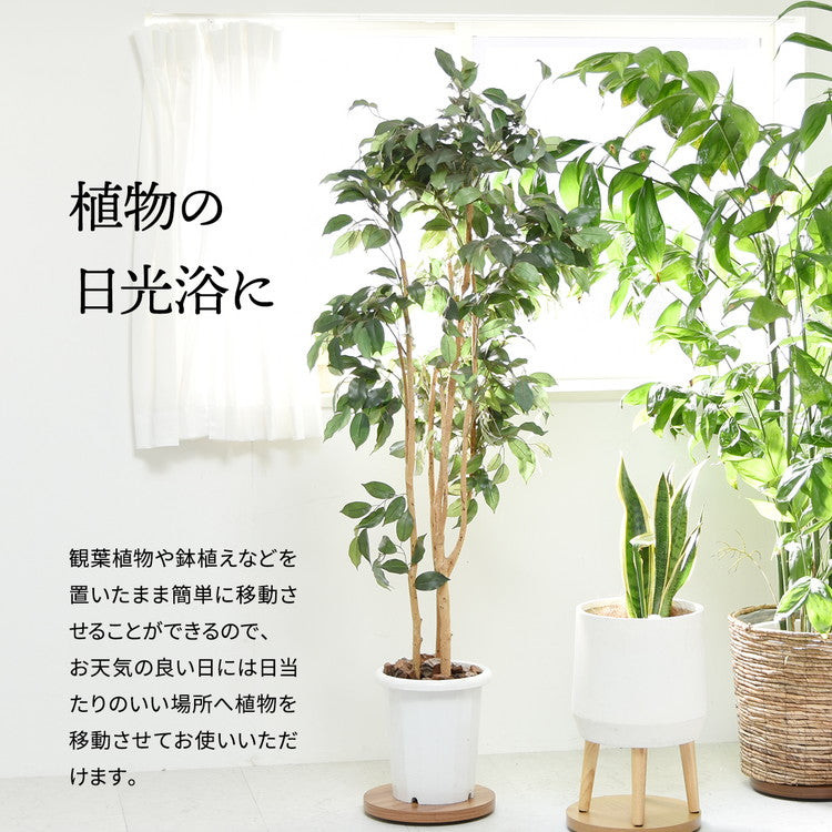 ラウンド プランターベース 木目調×隠しキャスターで美しく移動できる鉢植え台プランターベース キャスター付き 植木鉢台 鉢スタンド 植物移動台 木目調 グレー インテリア雑貨