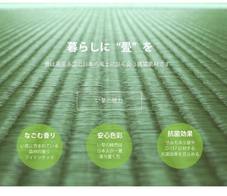 ベッドフレーム シングル コンセント・スマホスタンド付き天然木材檜ベッド い草張り床板 ベットフレーム ベッド ベット 寝具 インテリア 家具 TCB273 イ草 シングルサイズ Sサイズ(代引不可)