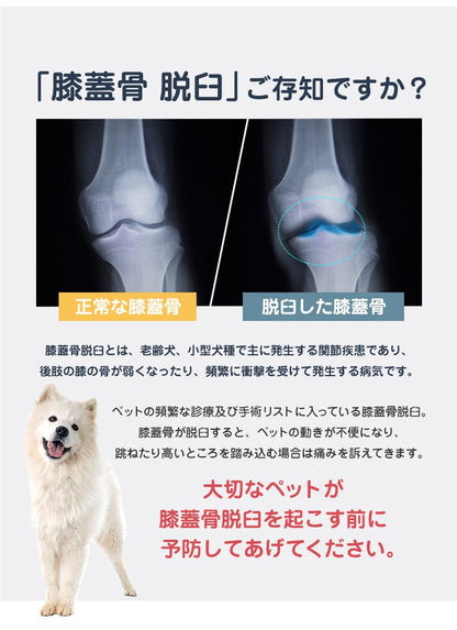 ペットステップ 5段 ドッグステップ ペットスロープ 犬 猫 ペット用 階段 補助 上り下り ケガ防止 シニア犬 介護用品 ドッグスロープ 小型犬 高齢犬 ミニチュアダックス チワワ Caraz カラズ(代引不可)