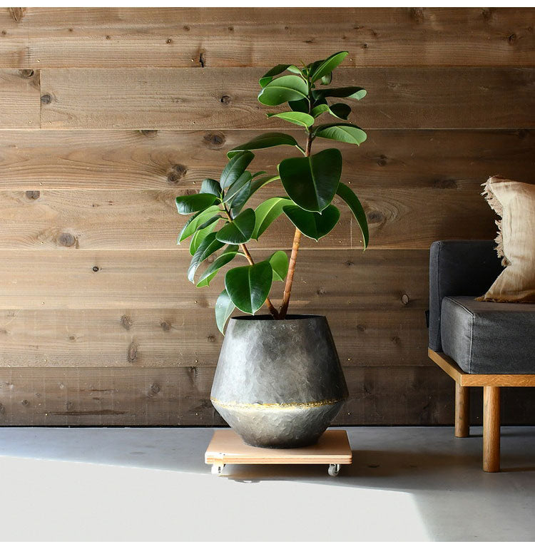 rootis 日本製 耐荷重20kg プランタースタンド 新潟県南魚沼産木材使用 プランター台 キャスター付き スクエア 幅35cm ホームキャリー 平台車 台車 フラワースタンド 正方形 角型 回転 トレー(代引不可)