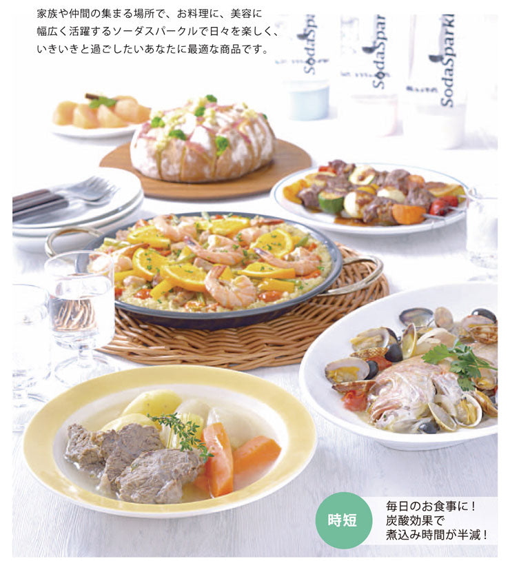 カートリッジ5本付き ソーダスパークルマルチ 炭酸水 スターターキット MS2-1 炭酸水メーカー ソーダーメーカー 炭酸水製造機 ガスカートリッジ