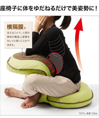 美姿勢座椅子リッチ専用カバー 選べる5色 座椅子カバー 背筋がGUUUN美姿勢座椅子カバー