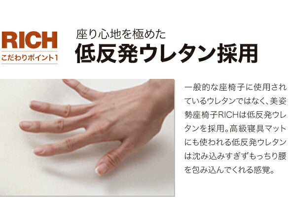 美姿勢座椅子リッチ専用カバー 選べる5色 座椅子カバー 背筋がGUUUN美姿勢座椅子カバー