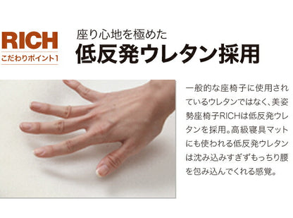 美姿勢座椅子リッチ専用カバー 選べる5色 座椅子カバー 背筋がGUUUN美姿勢座椅子カバー