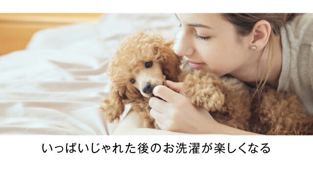 フリーランドリー FREELAUNDRY プロ 3個入 ペット 洗濯 洗濯グッズ スポンジ 毛とり 抜け毛 犬 猫 ネコ