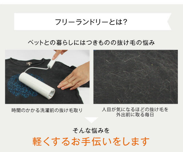 フリーランドリー FREELAUNDRY プロ 3個入 ペット 洗濯 洗濯グッズ スポンジ 毛とり 抜け毛 犬 猫 ネコ