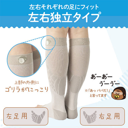 ベビーゴリラのひとつかみ夏 着圧ソックス 夏用 接触冷感 蒸れない 涼しい GRSS-26BE ひとつかみ専用 靴下 ふくらはぎケア レッグケア フットケア 両足 GRSS-26BEM GRSS-26BEL ドウシシャ
