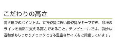 テンピュール 枕 ミレニアムネックピロー Lサイズ エルゴノミック 新タイプ 【並行輸入品】 TEMPUR まくら ピロー