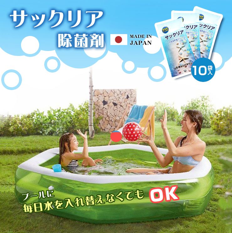プール塩素消毒剤【顆粒】10g×10袋入り ビニールプール 家庭用プール 大型プール 除菌 除菌剤 小分け 塩素 プール(代引不可)【メール便】