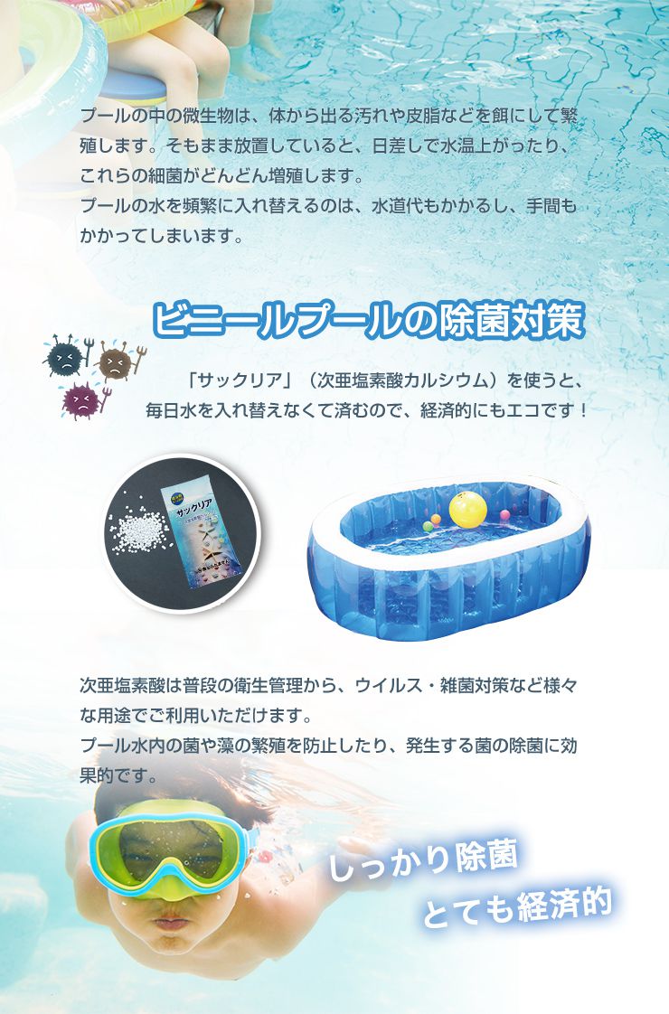 プール塩素消毒剤【顆粒】10g×10袋入り ビニールプール 家庭用プール 大型プール 除菌 除菌剤 小分け 塩素 プール(代引不可)【メール便】