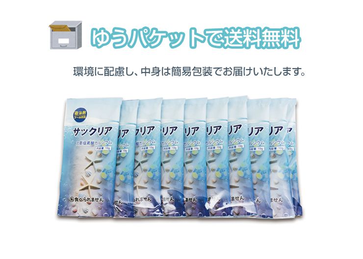 プール塩素消毒剤【顆粒】10g×10袋入り ビニールプール 家庭用プール 大型プール 除菌 除菌剤 小分け 塩素 プール(代引不可)【メール便】