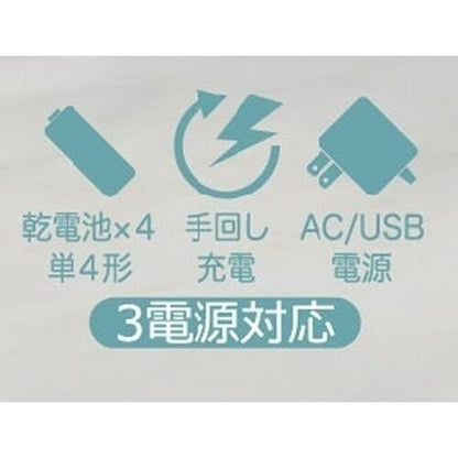 LEDライト付き 3.2型 ポータブル ワンセグ&FM/AMラジオ TSP-W3218