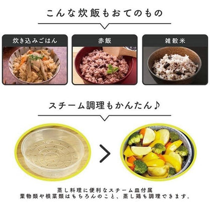 マイコン炊飯ジャー 5合 極UMADAKI ブラウン マイコン式 早炊き 無洗米 白米 玄米 おかゆ スチーム調理 炊飯予約機能 保温機能 しゃもじフック付属 ROOMMATE RM-210-BR