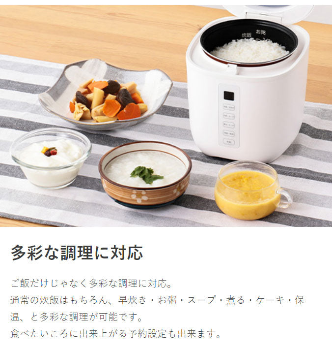 コンパクト炊飯器 2合 GOHANDAKI 多機能炊飯器 早炊き お粥 スープ 煮る ケーキ 保温 単身 家庭 タッチパネル 一人暮らし 新生活 家電 RM-102TE