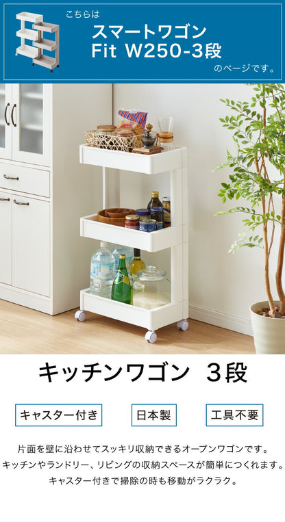 キッチンワゴン キャスター付き 3段 スマート ワゴン Fit W2502色 組立式 隙間収納 日本製 すき間 収納ストッカー キッチン 食品 ストック 食料ストック 不動技研