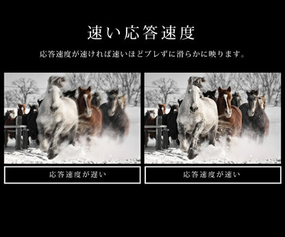 simplus テレビ 15.4インチ 液晶テレビ SP-154TV02 フルセグ対応 15.4V 15.4型 LED液晶テレビ 1波 シンプラス 15.4V型 地上デジタル USB マルチメディア