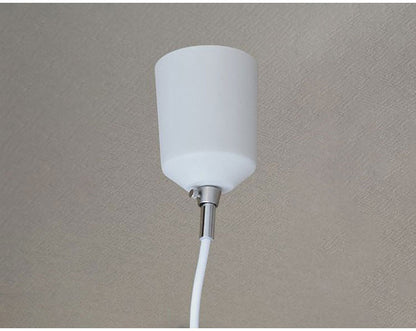 1灯ペンダント 照明 電球 シーリングライト 天井照明 FIRDER フィルダー インテリア おしゃれ 北欧 シンプル 照明器具 間接照明 新生活 モダン リビング 寝室 ダイニング 明かり スポットライト(代引不可)