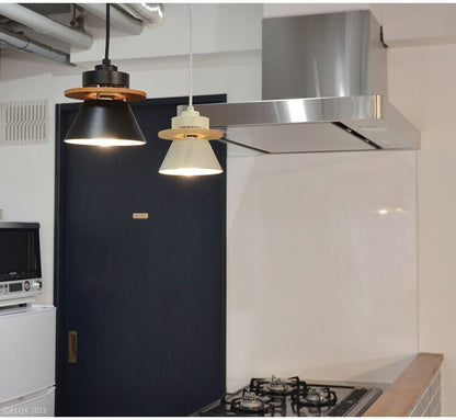 1灯ペンダントライト ブラック 照明 電球 シーリングライト CERON 天井照明 インテリア おしゃれ 北欧 シンプル 照明器具 間接照明 新生活 モダン 寝室 ダイニング 明かり ライト スポットライト(代引不可)