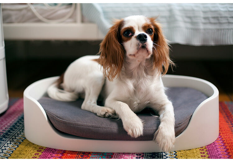 ペットバンクベッド ペット クッション 犬 猫 KETER ケータ― COZY ヨーロッパ製 ベージュ ベッド 犬小屋 ドッグハウス キャットハウス カーバー ペットクッション ニット キャリーバッグ 丸洗い 洗濯