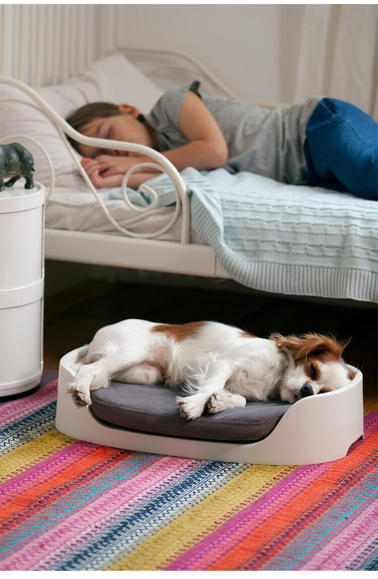 ペットバンクベッド ペット クッション 犬 猫 KETER ケータ― COZY ヨーロッパ製 ベージュ ベッド 犬小屋 ドッグハウス キャットハウス カーバー ペットクッション ニット キャリーバッグ 丸洗い 洗濯