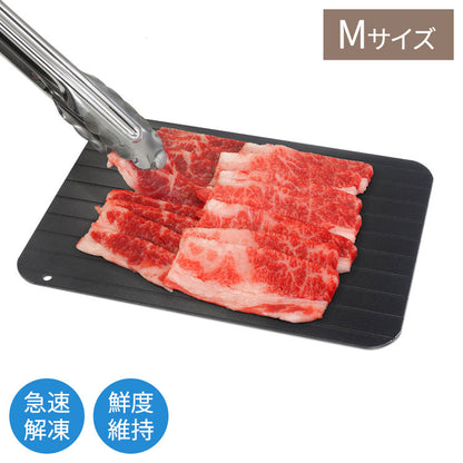 ハイスピード解凍プレートM 約16.5×23cm 急速解凍 自然解凍 家庭用 業務用 冷凍食品 解凍 肉 刺身 電気不要 省エネ プレート スピード 時短 便利グッズ 食品 置くだけ
