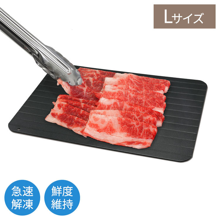 ハイスピード解凍プレートL 約20.5×29.5cm 急速解凍 自然解凍 家庭用 業務用 冷凍食品 解凍 肉 刺身 電気不要 省エネ プレート スピード 時短 便利グッズ 食品 置くだけ