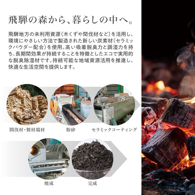 シューズ用 脱臭除湿シート 3足用 飛騨 炭素材 吸着脱臭力 調湿力 エコ 脱臭除湿材 シリカゲル 脱臭 除湿 自然(代引不可)