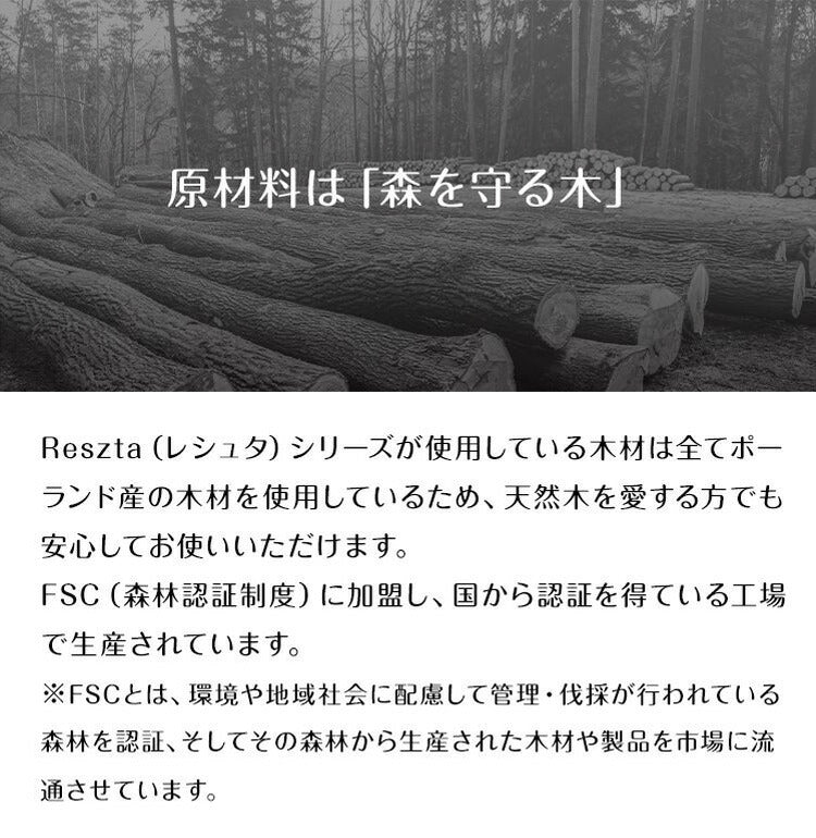 レシュタ マグネットブラシセット ちりとり ほうき セット 箒 屋内 屋外 マグネット付き おしゃれ 北欧 ポーランド製
