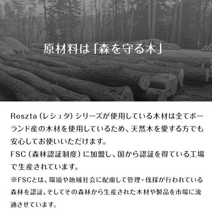 レシュタ マグネットブラシセット ちりとり ほうき セット 箒 屋内 屋外 マグネット付き おしゃれ 北欧 ポーランド製