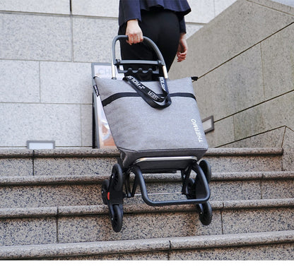 【バッグ単品】ロルサー ROLSER ショッピングカート NSシリーズ オールテルモ 全保冷 44L 保冷バッグ 折りたたみ トートバッグ 大容量 保温 ベルトループ PVCコーティング おしゃれ アウトドア