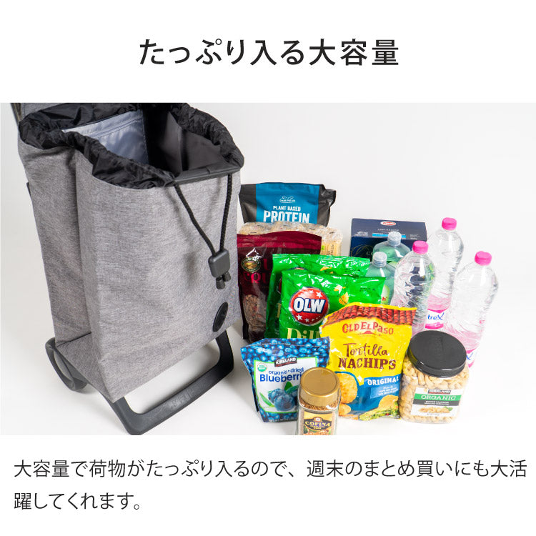 ロルサー ROLSER ショッピングカート BABY JOY モノトーン 2輪 折りたたみ フック付き 軽量 撥水 キャスター付き ポケット付き 大容量(代引不可)