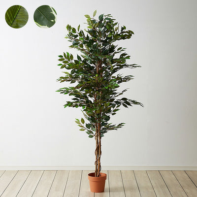 人工観葉植物 フィカス ハイタイプ ゴムの木 フェイクグリーン インテリアグリーン 造花 観葉植物 人工 フェイク グリーン