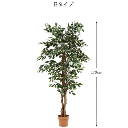 人工観葉植物 フィカス ハイタイプ ゴムの木 フェイクグリーン インテリアグリーン 造花 観葉植物 人工 フェイク グリーン(代引不可)