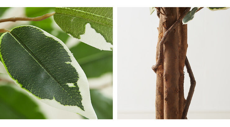 人工観葉植物 フィカス ハイタイプ ゴムの木 フェイクグリーン インテリアグリーン 造花 観葉植物 人工 フェイク グリーン(代引不可)