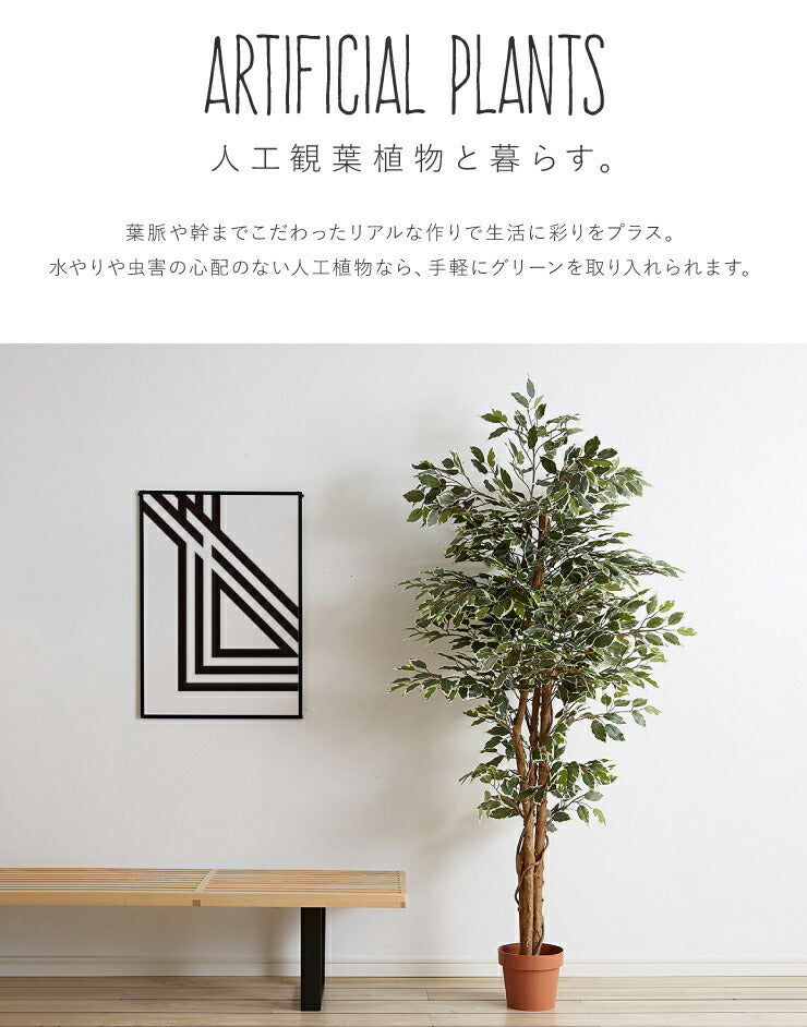 人工観葉植物 フィカス ハイタイプ ゴムの木 フェイクグリーン インテリアグリーン 造花 観葉植物 人工 フェイク グリーン(代引不可)