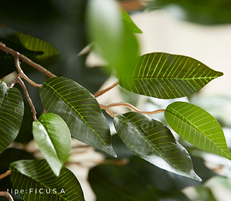 人工観葉植物 フィカス ハイタイプ ゴムの木 フェイクグリーン インテリアグリーン 造花 観葉植物 人工 フェイク グリーン(代引不可)