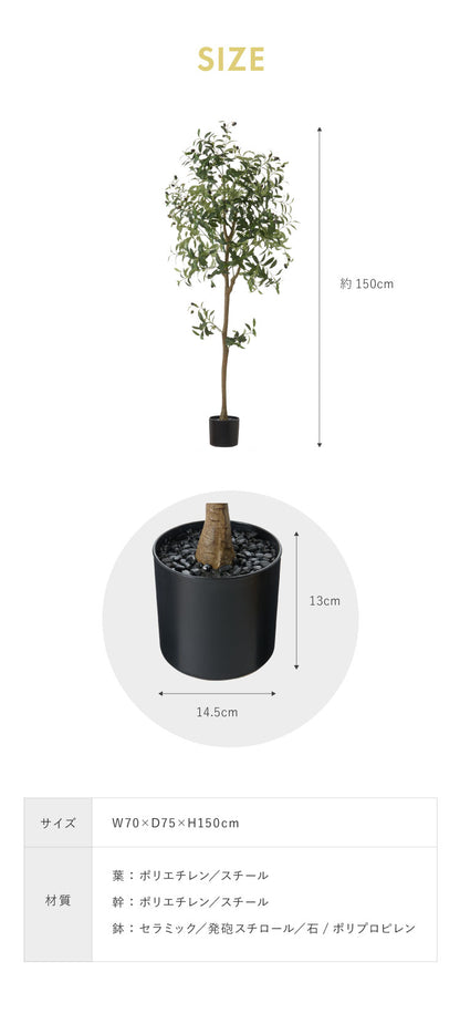 オリーブ 観葉植物 フェイクグリーン 高さ150cm 人工観葉植物 造花 インテリア リアル おしゃれ 鉢 お祝い 樹 木 室内 人気 玄関 リビング フェイク オフィス 部屋 シンプル(代引不可)