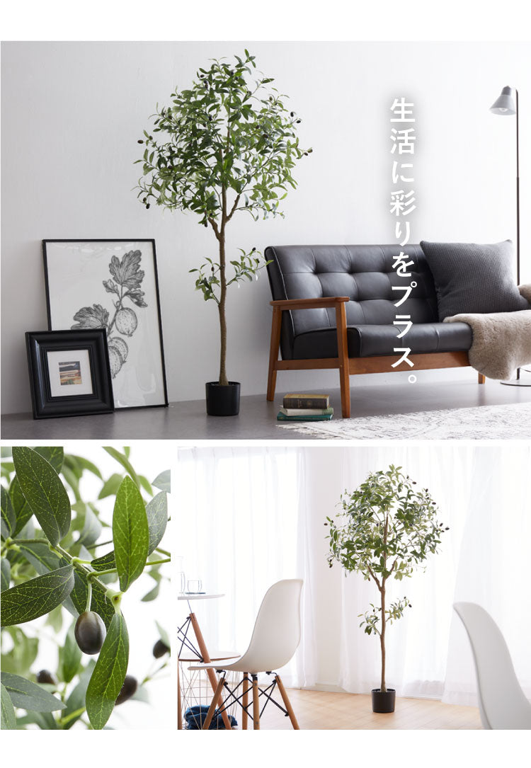 オリーブ 観葉植物 フェイクグリーン 高さ150cm 人工観葉植物 造花 インテリア リアル おしゃれ 鉢 お祝い 樹 木 室内 人気 玄関 リビング フェイク オフィス 部屋 シンプル(代引不可)